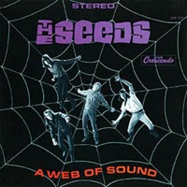 Web Of Sound