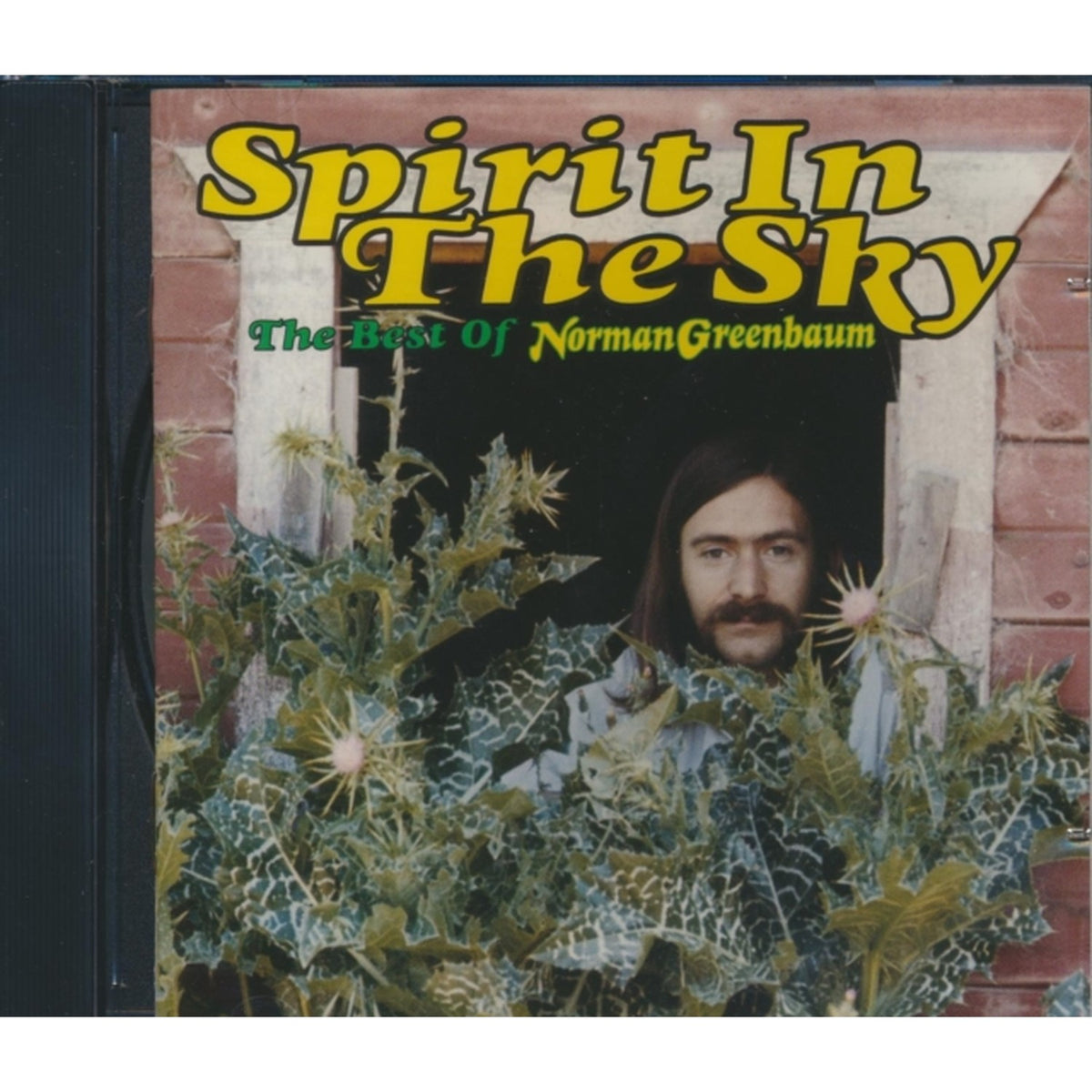 Spirit In Sky: Best Of