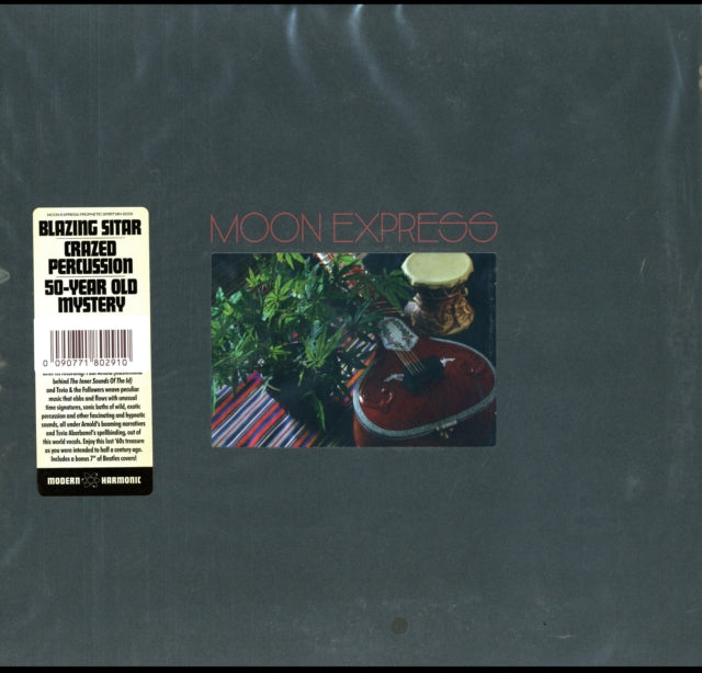 Prophetic Spirit (LP & Bonus 7 Inch)