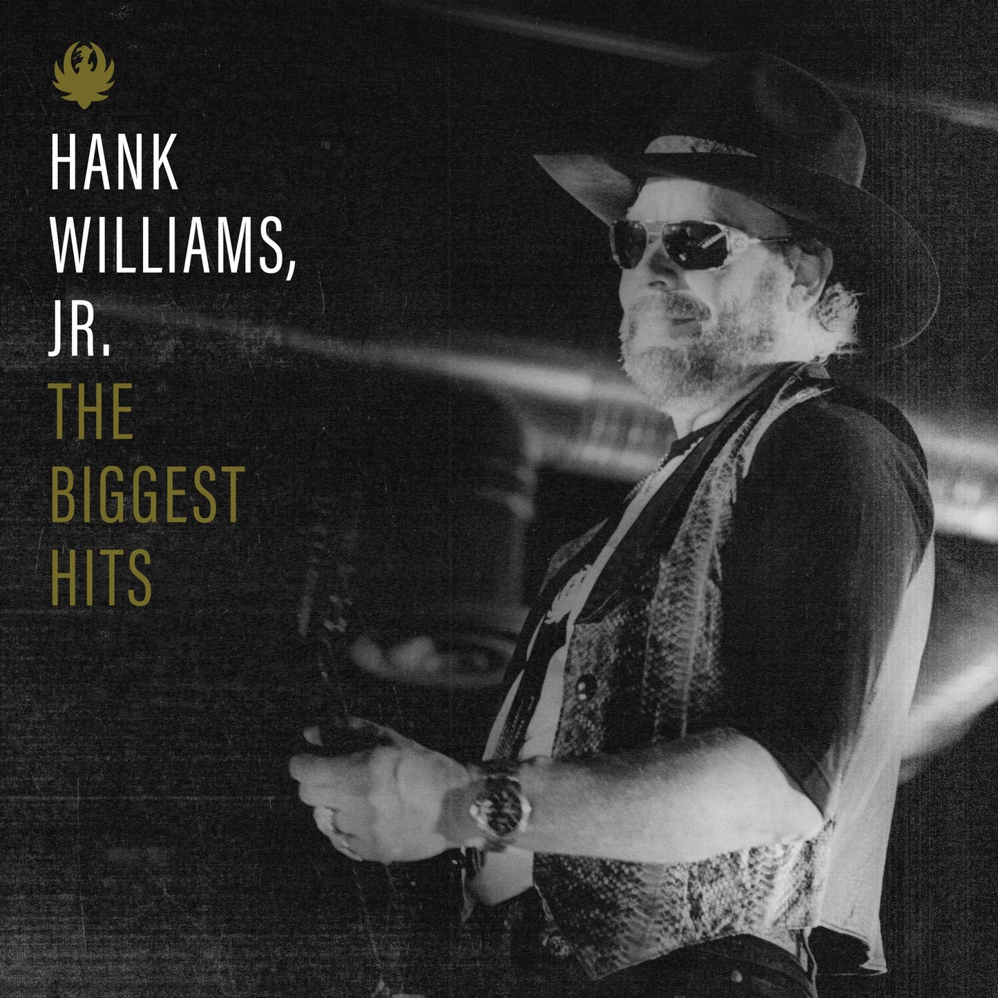 Biggest Hits Of Hank Williams, Jr.