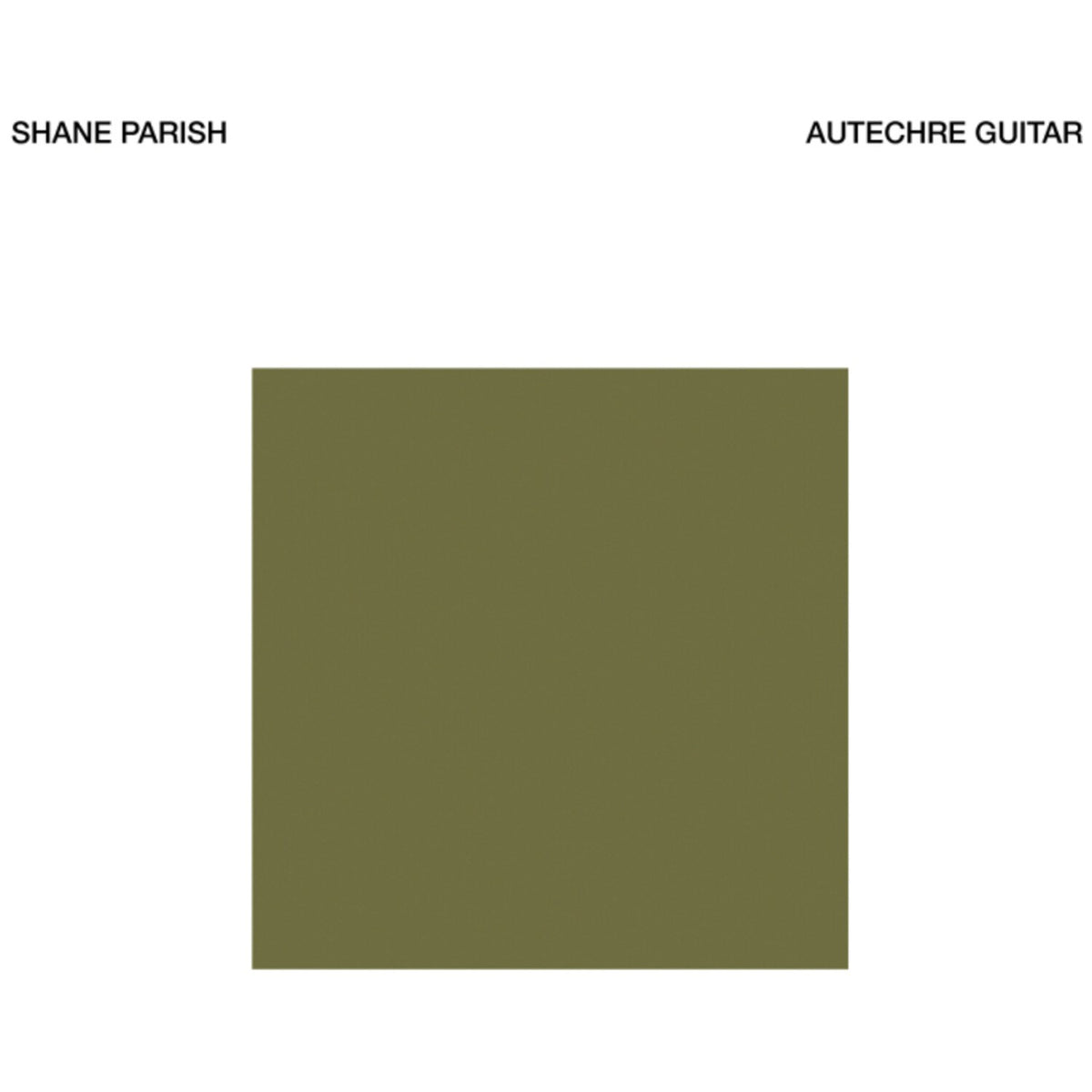 Autechre Guitar