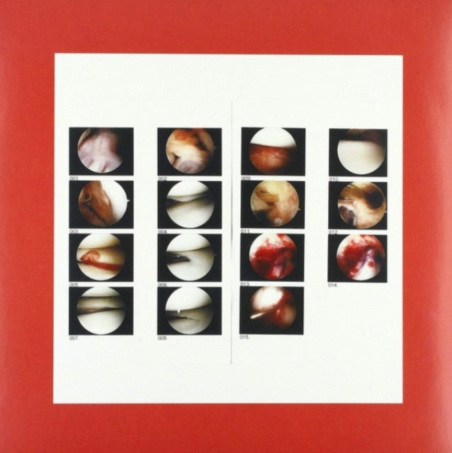 Laughing In My Sleep (Coke Bottle Green LP Vinyl/Dl Card)