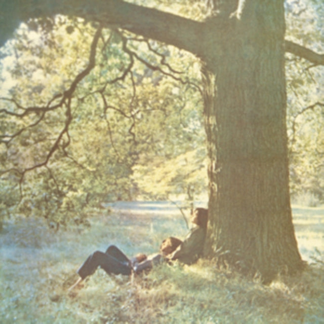 Shaved Fish & Plastic Ono Band