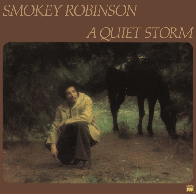 Quiet Storm (180G)