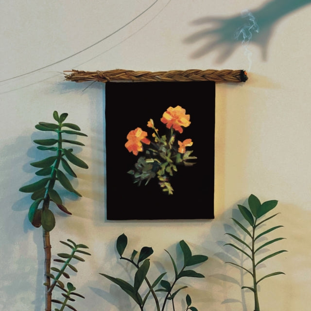 This CD is brand new.Format: CDThis item's title is: Well I Fell IntoArtist: Why?Barcode: 602309902339Release Date: 8/2/2024