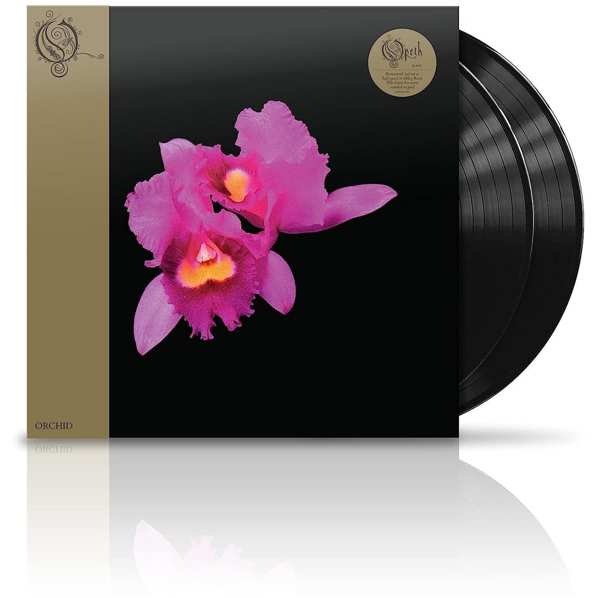 Orchid