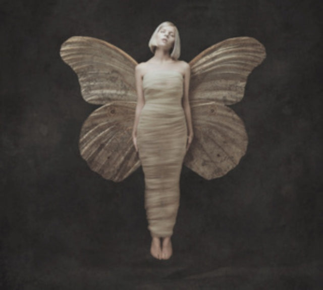 This LP Vinyl is brand new.Format: LP VinylMusic Style: Indie PopThis item's title is: All My Demons Greeting Me As A Friend (Opaque Yellow LP Vinyl)Artist: AuroraBarcode: 602455644732Release Date: 10/27/2023