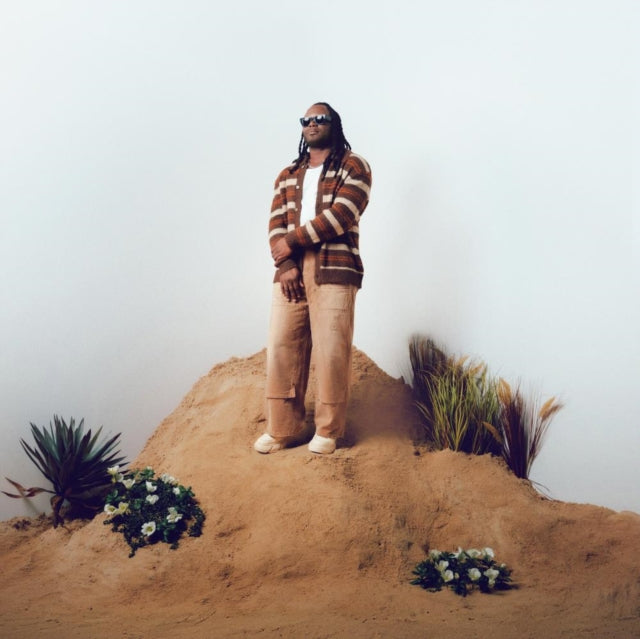 Real (Mocha Mist Vinyl/2LP)
