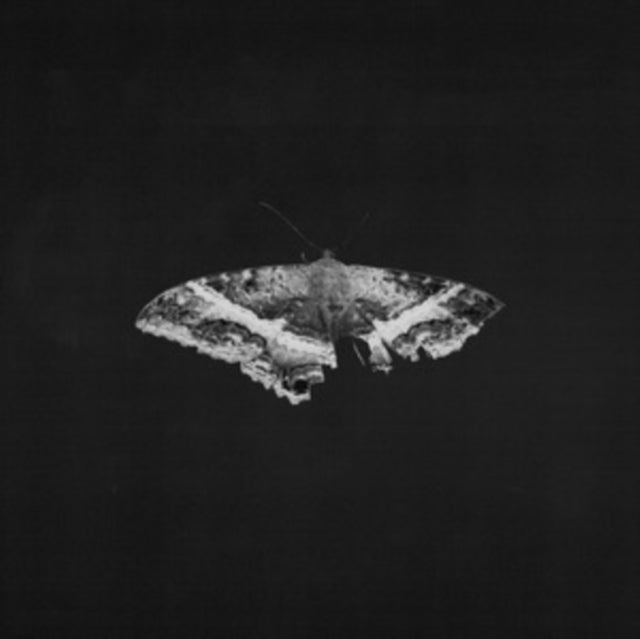 To Pimp A Butterfly (X) (10 Year Anniversary Edition/Alternate Artwork/180G/2LP)