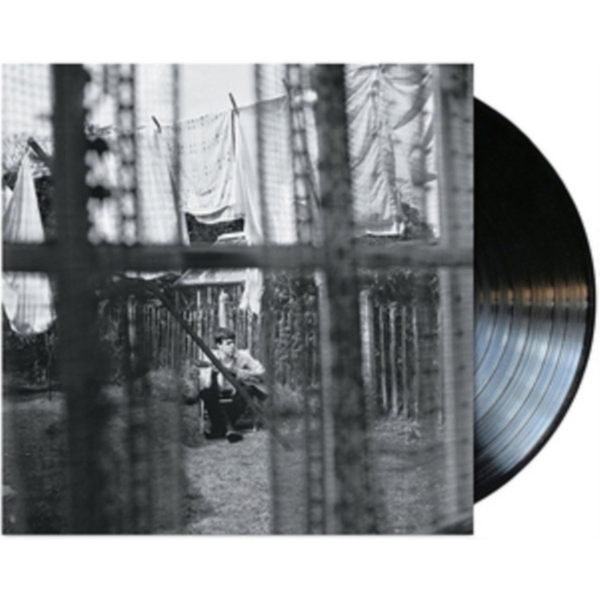 Chaos & Creation In The Backyard (180G)