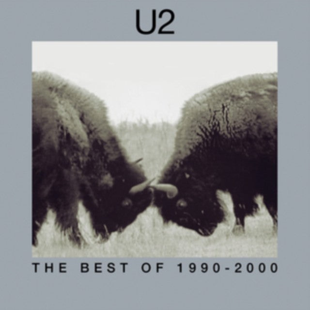Best Of 1990-2000 (2LP)