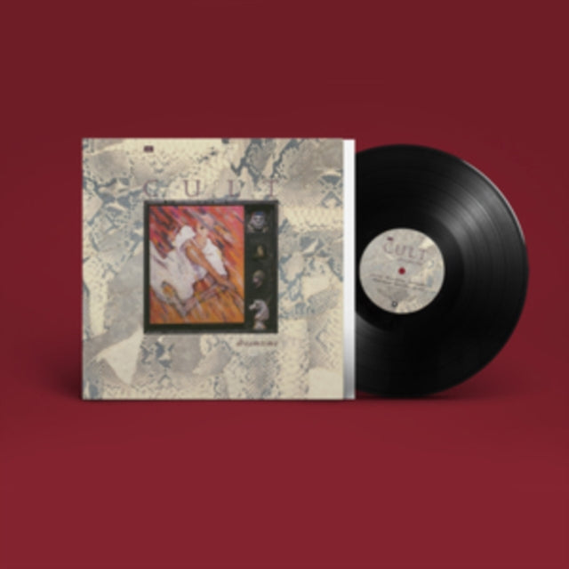 This is a 2 LP Vinyl SKU bundle.
1.This LP Vinyl is brand new.Format: LP VinylThis item's title is: Under The Midnight Sun & New Death Cult (LP/7 Inch)Artist: CultBarcode: 197189146589Release Date: 4/12/2024
2.This LP Vinyl is brand new.
