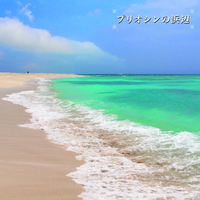 Beach Of The Pliocene (2LP)
