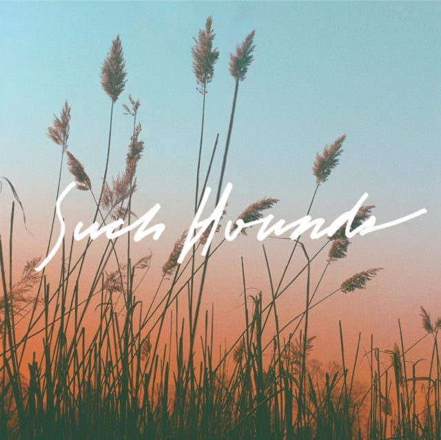 This LP Vinyl is brand new.Format: LP VinylThis item's title is: I Hate SummerArtist: Such HoundsLabel: THE SLEEPOVER PARTYBarcode: 637872110041Release Date: 9/30/2013