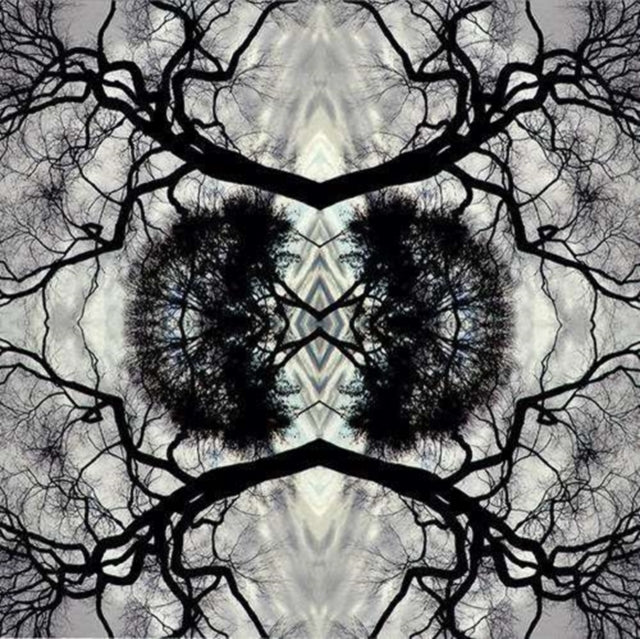Sonic Mandala Go: Organic Orchestra