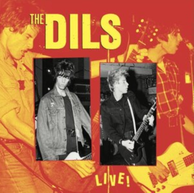 Dils Live! (LP/CD)
