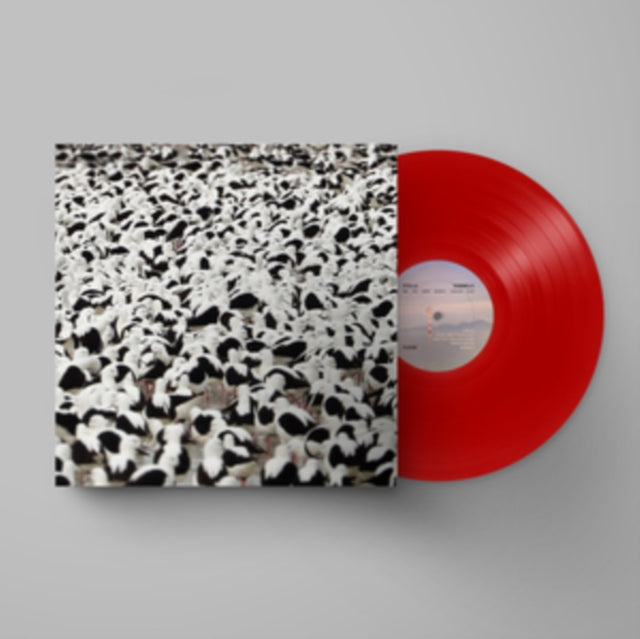 Flood (Opaque Red LP Vinyl)