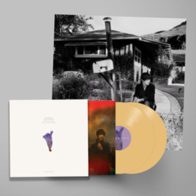 We've Been Going About This All Wrong (Deluxe Edition/Custard Vinyl/2LP)