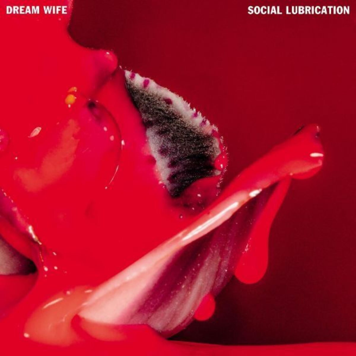 Social Lubrication (Digi Pack)