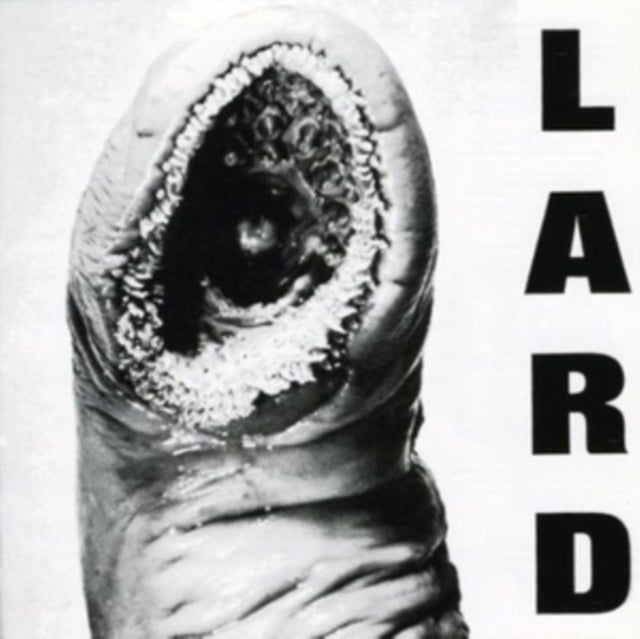Power Of Lard