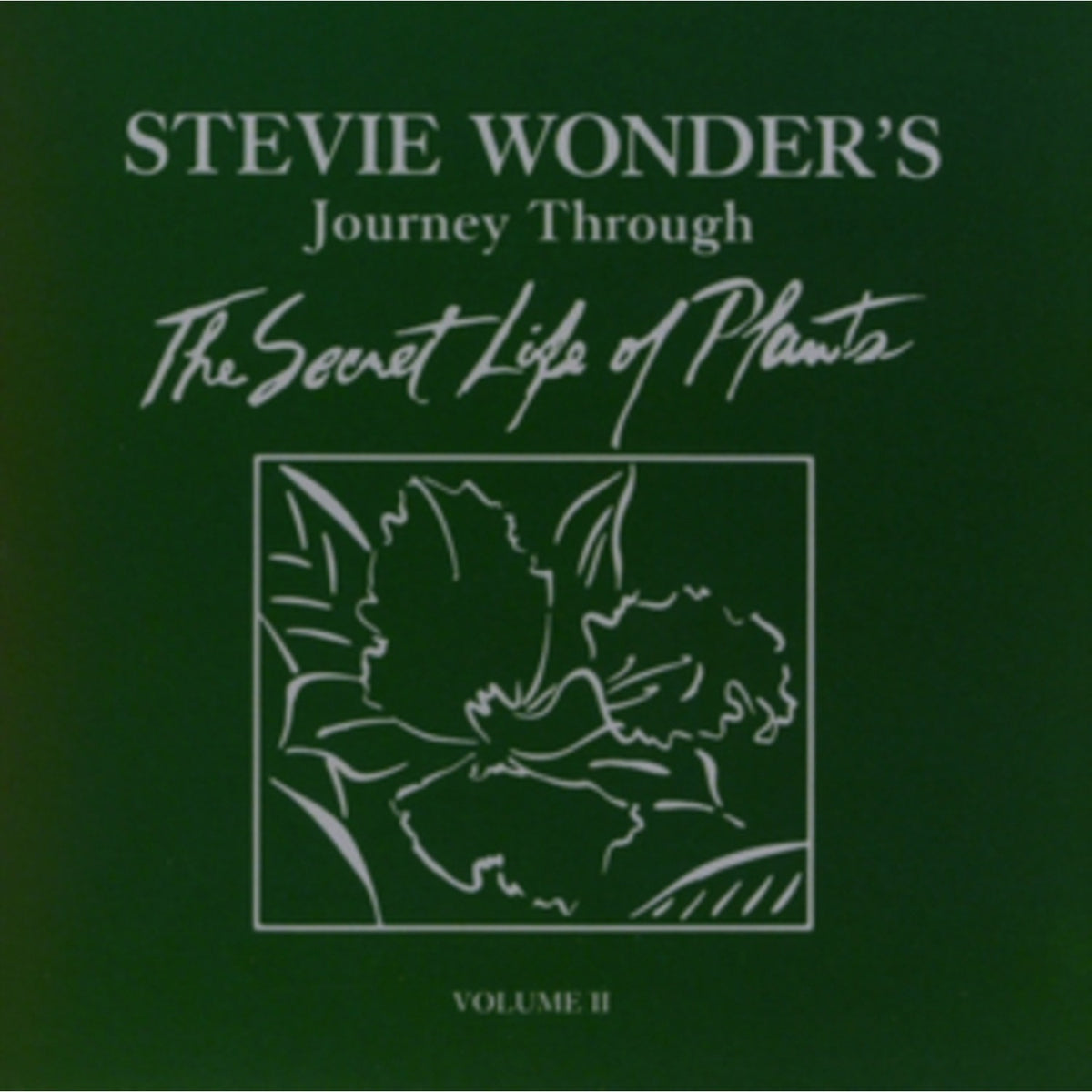 Innervisions & Journey Through The Secret Life Of Plants