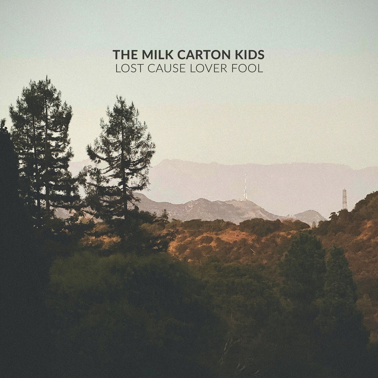 Lost Cause Lover Fool