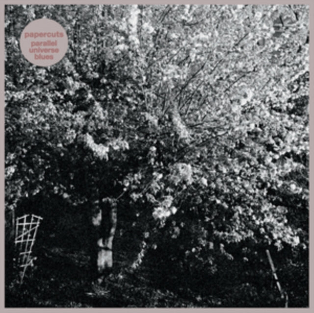 Parallel Universe Blues