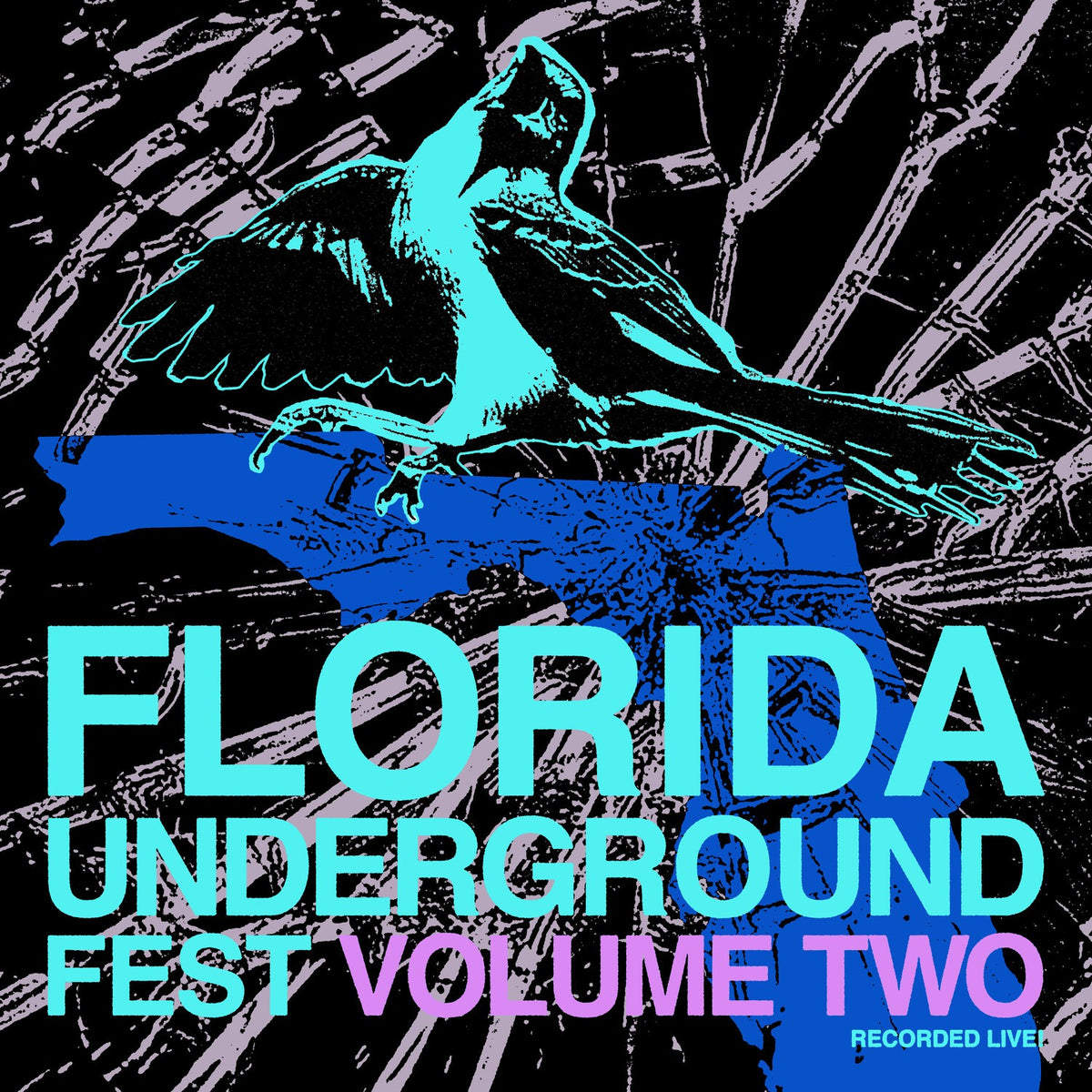 Florida Underground Fest Vol. 2