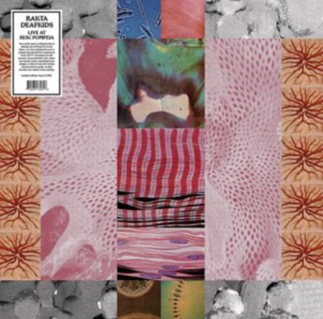 This LP Vinyl is brand new.Format: LP VinylThis item's title is: Live At Sesc PompeiaArtist: Rakta & DeakfidsBarcode: 760137518419Release Date: 6/4/2021