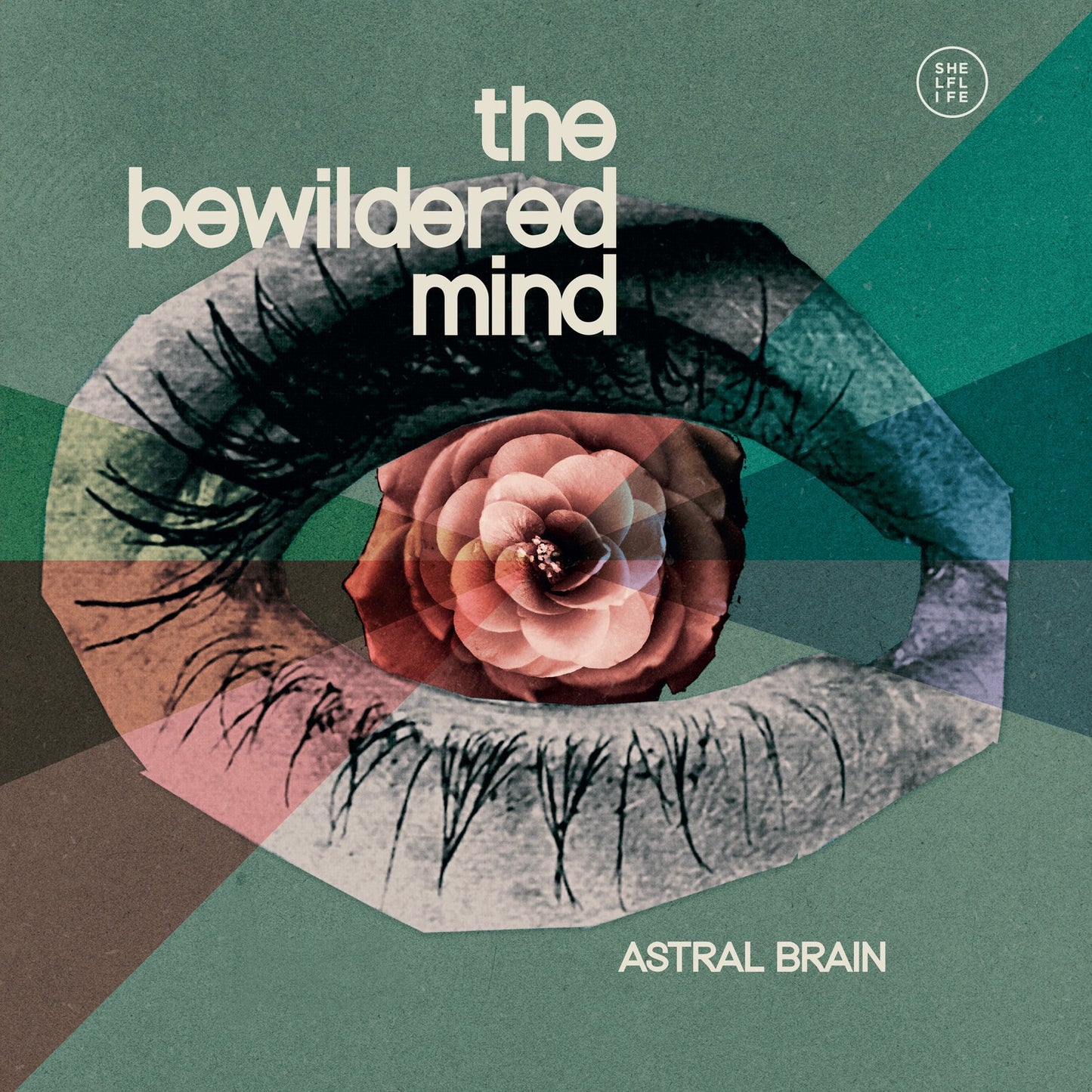 Bewildered Mind