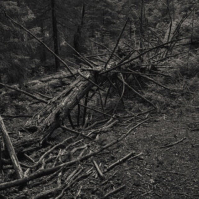 This LP Vinyl is brand new.Format: LP VinylThis item's title is: Always I GnawArtist: SultBarcode: 769791984622Release Date: 9/1/2023