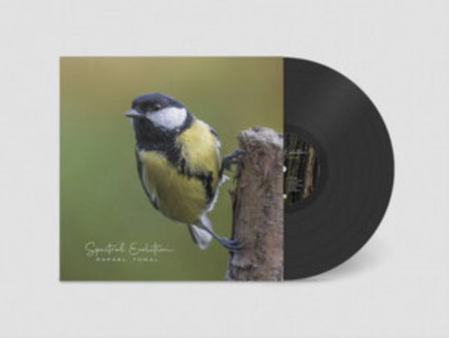 This LP Vinyl is brand new.Format: LP VinylMusic Style: ExperimentalThis item's title is: Spectral EvolutionArtist: Rafael ToralLabel: MoikaiBarcode: 781484901419Release Date: 2/23/2024