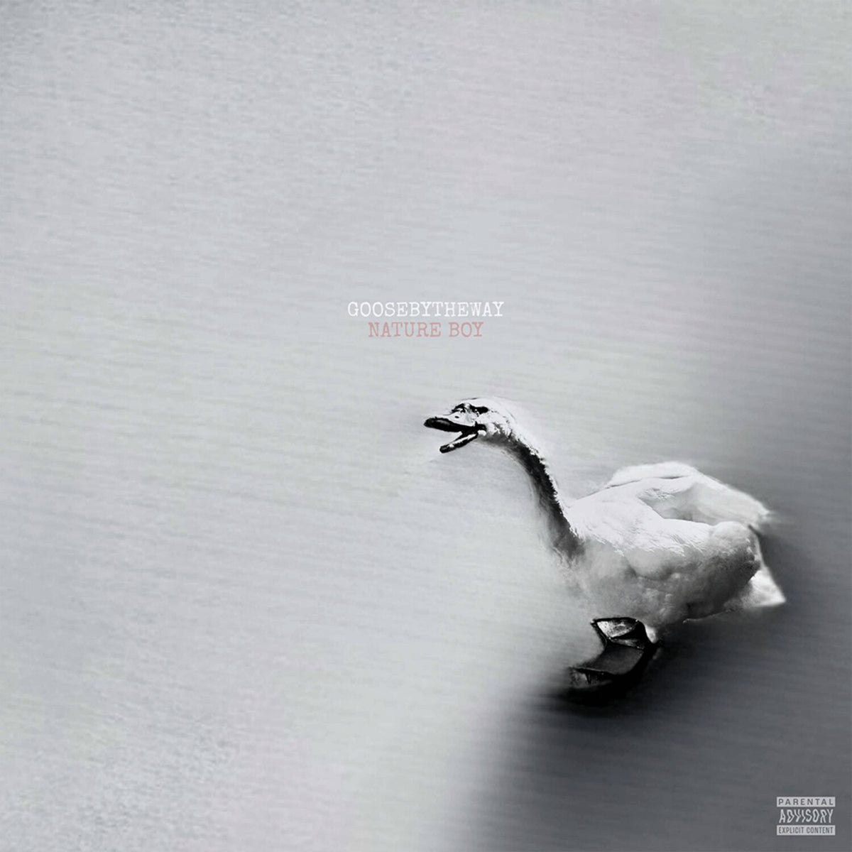 Nature Boy (White LP Vinyl)