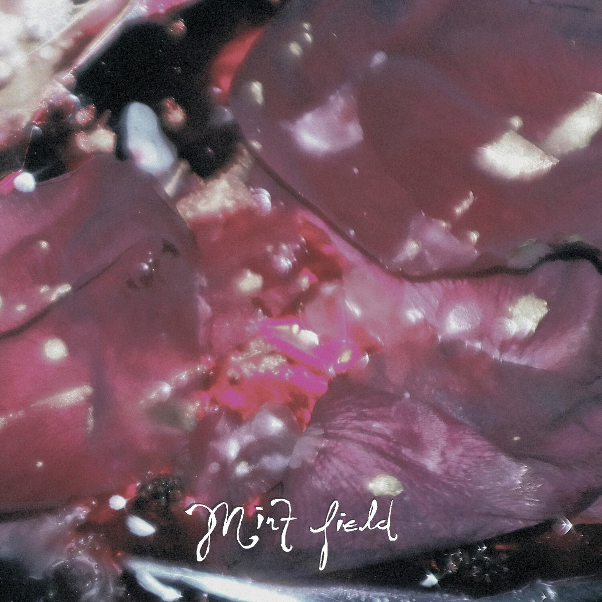 Aprender A Ser (Fruit Punch LP Vinyl)