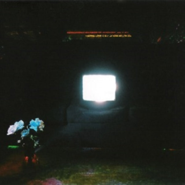 Does It Look Like I'm Here? (2LP/Ectoplasm Vinyl)