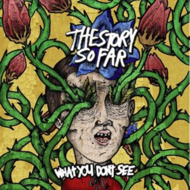 What You Don't See (Crayons Marble LP Vinyl)