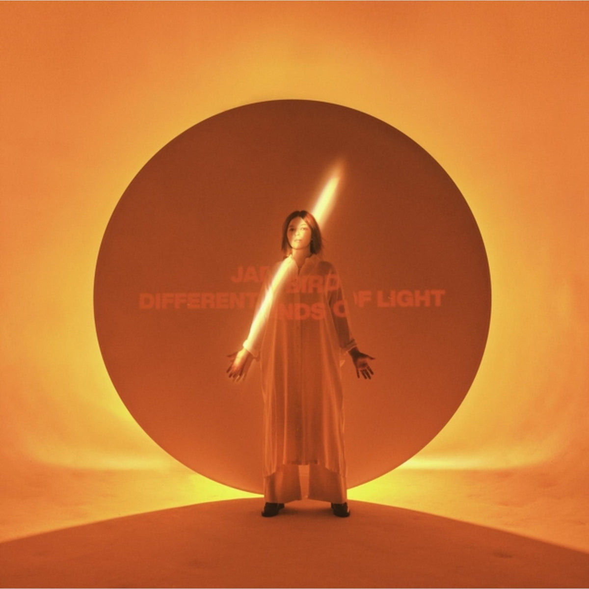 Different Kinds Of Light (2LP)