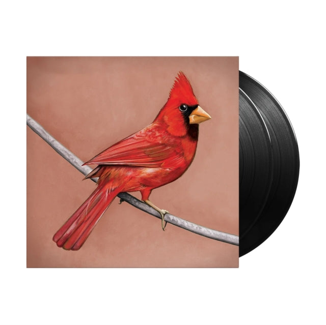 This 12 Inch Vinyl is brand new.Format: 12 Inch VinylMusic Style: HardcoreThis item's title is: Old Crows/Young CardinalsArtist: AlexisonfireLabel: DINE ALONE MUSIC INC.Barcode: 821826002371Release Date: 3/30/2010