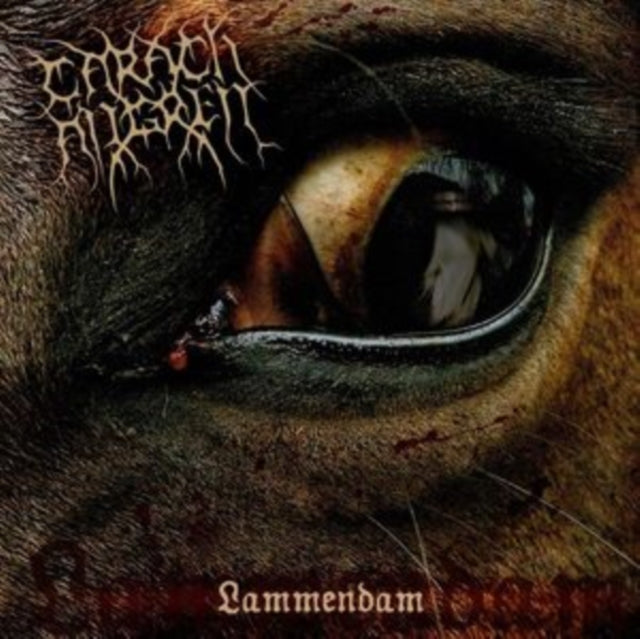 Lammendam (2LP/Orange & Black Marbled Vinyl)