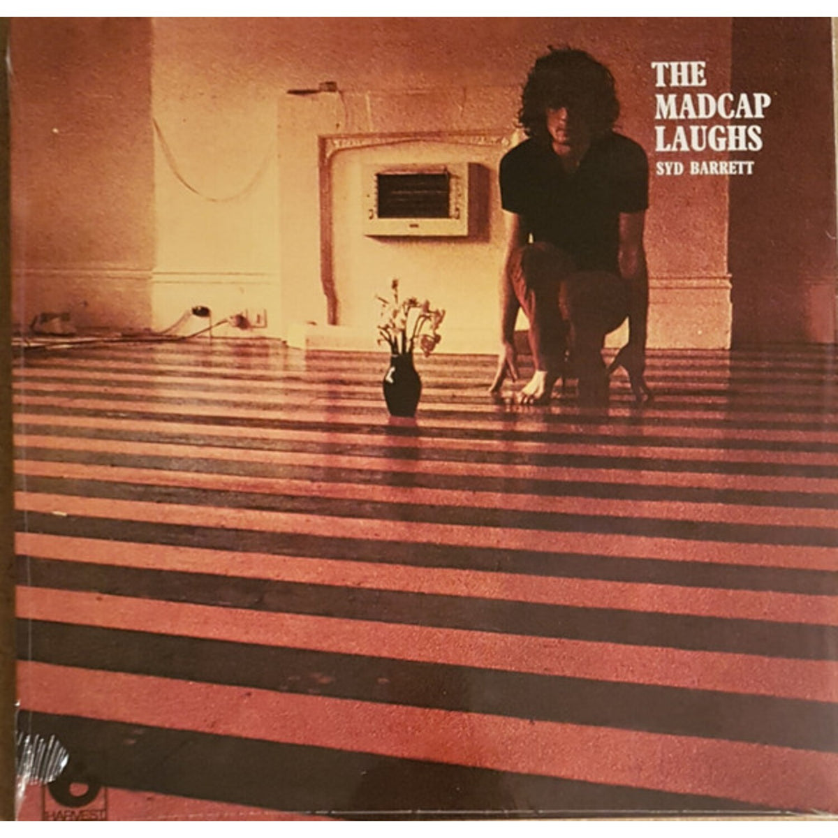 An Introduction To Syd Barrett (2LP) & Madcap Laughs