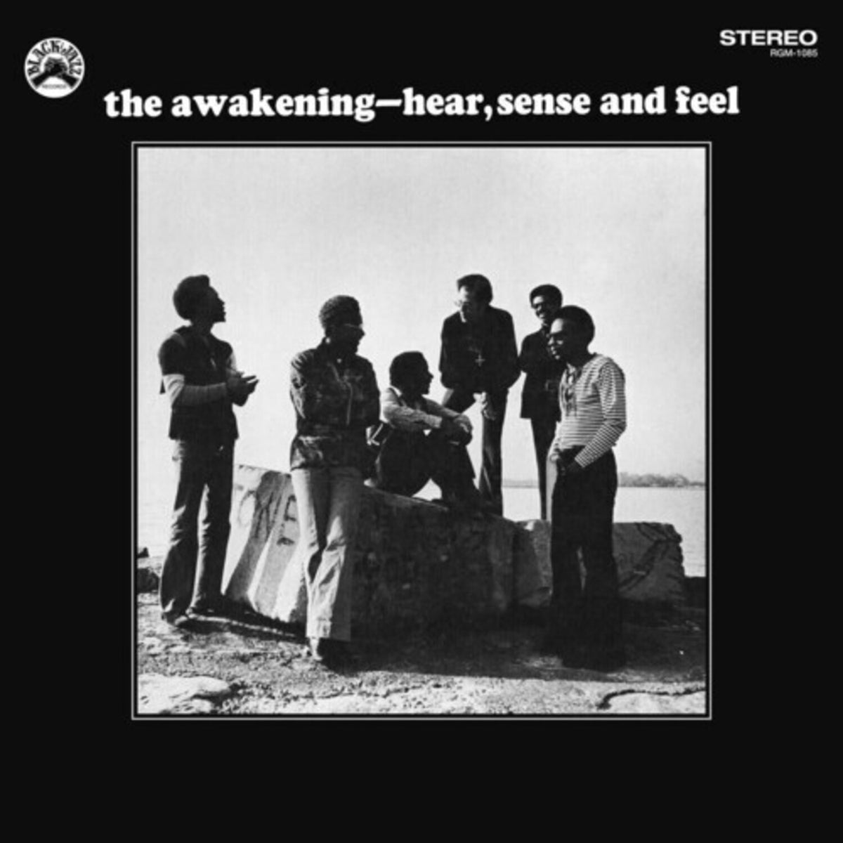 Hear, Sense & Feel (Remastered LP Vinyl Edition)