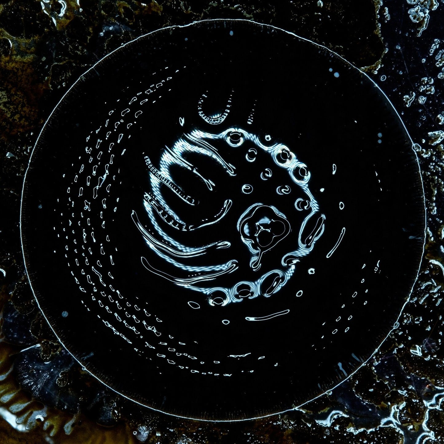 Stonus