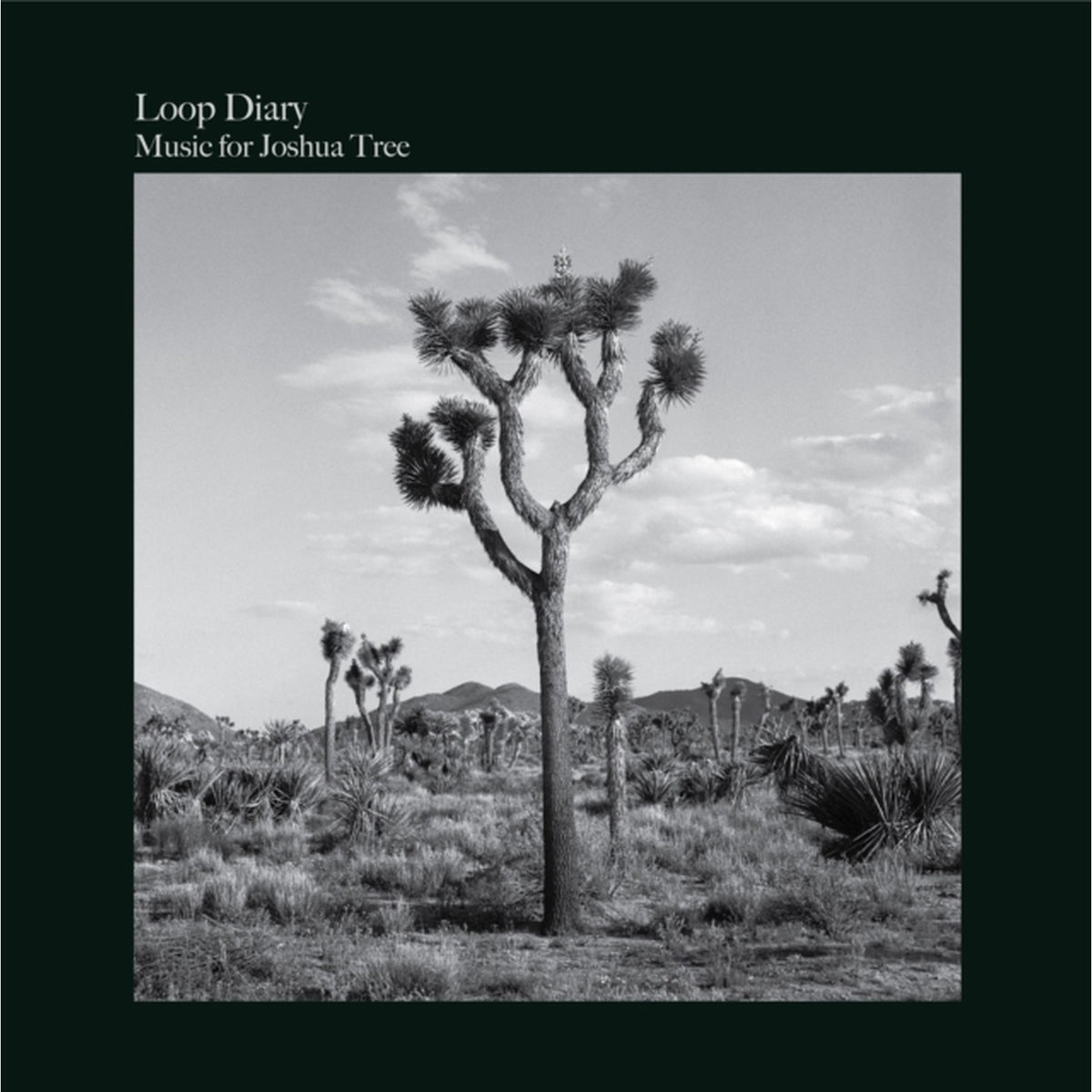 Music For Joshua Tree