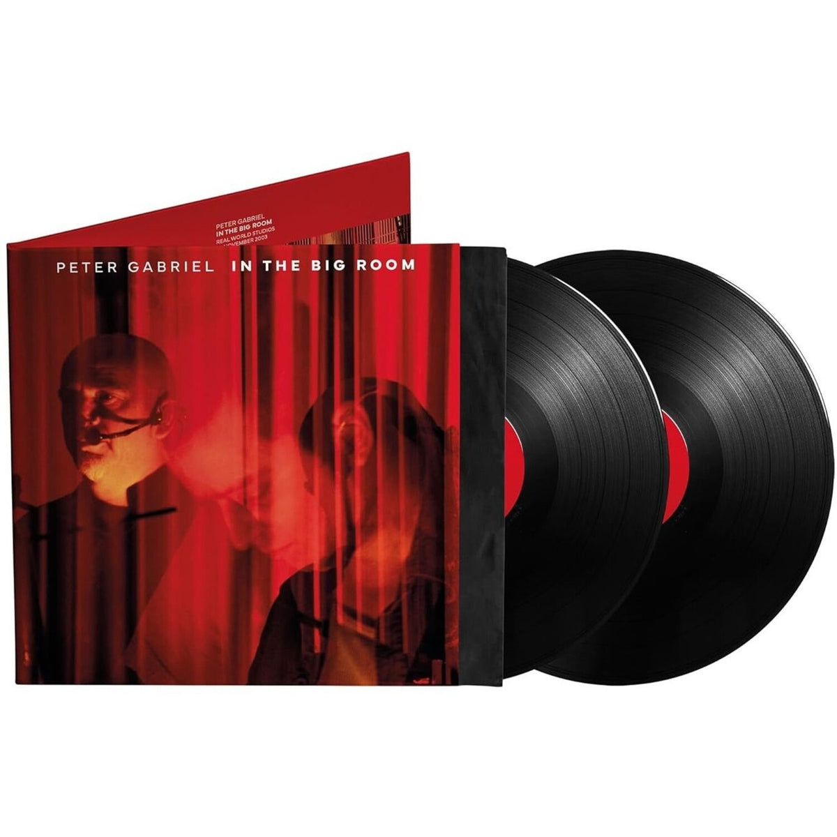 In The Big Room (180G/2LP)
