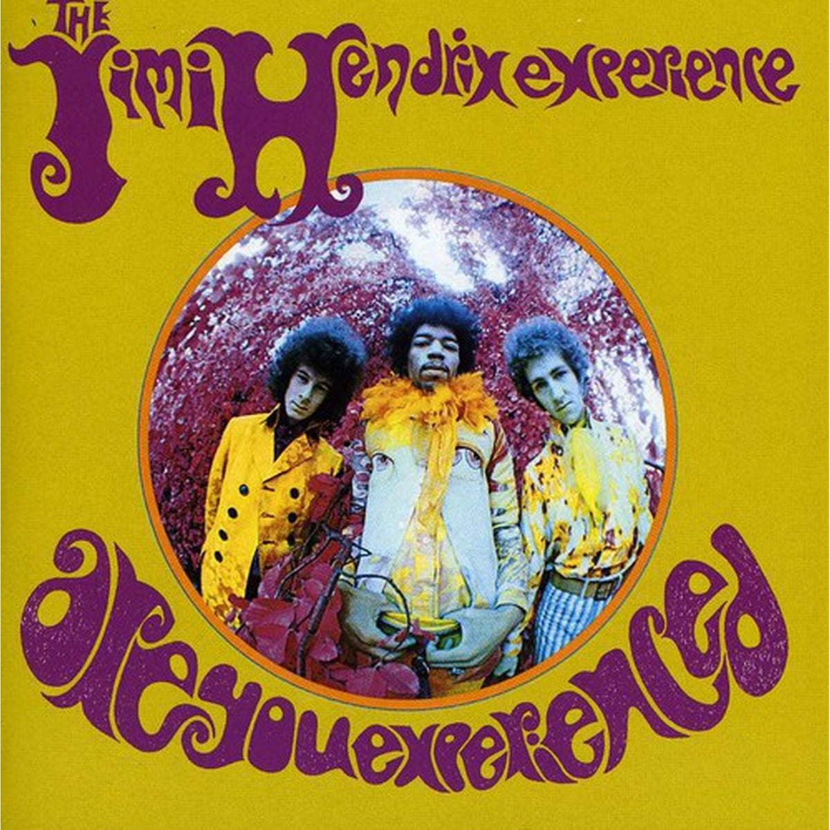 Are You Experienced