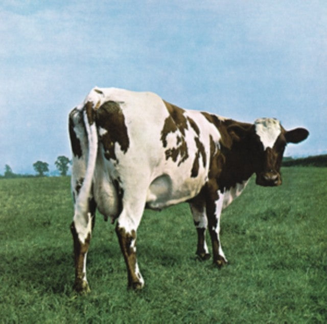 Ummagumma & Atom Heart Mother