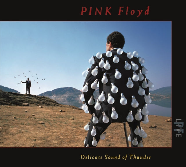 Delicate Sound Of Thunder (2CD)