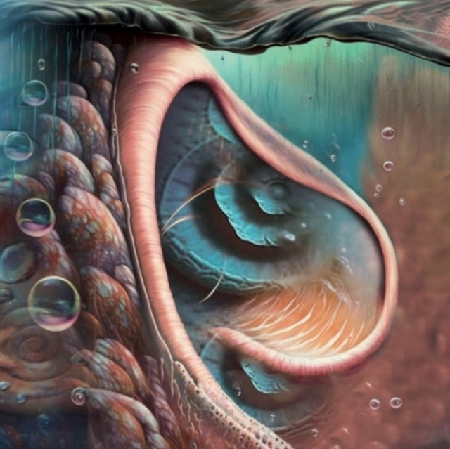 Meddle Reimgained - A Tribute To Pink Floyd (Blue LP Vinyl)