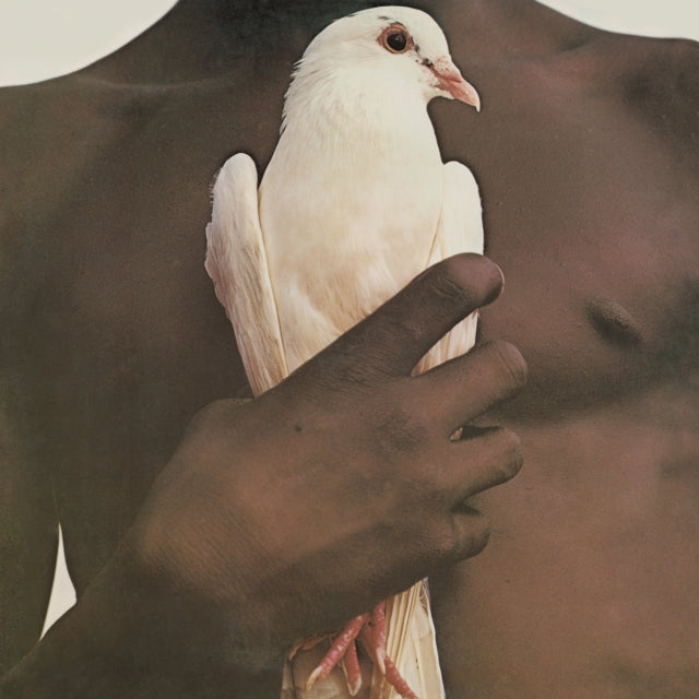 Supernatural (2LP/150G) & Splendiferous (2LP/150G) & Blessings & Miracles & Abraxas & Greatest Hits (1974) (150G/Dl Card)