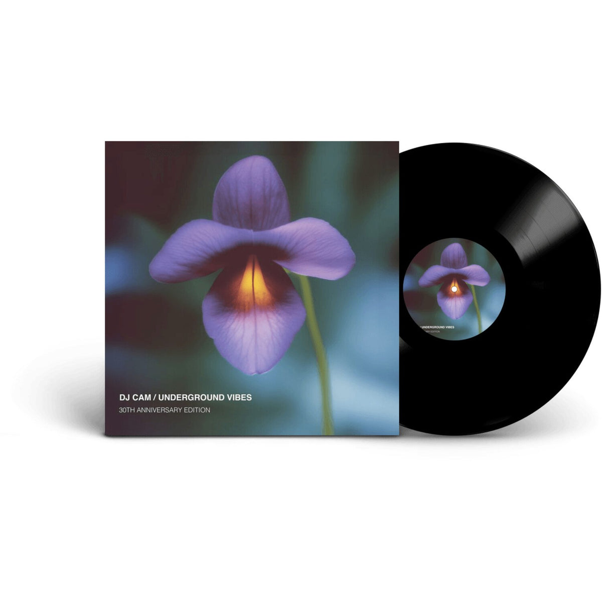 Underground Vibes (30Th Anniversary)